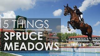 5 Things About Spruce Meadows