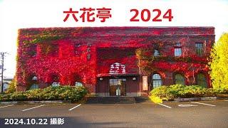 【六花亭】六花亭福住店の紅葉　2024