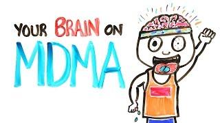 Your Brain On MDMA