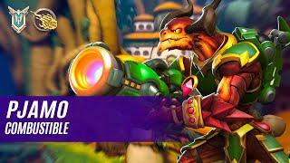 pjamo DROGOZ PALADINS COMPETITIVE (MASTER) COMBUSTIBLE