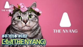 #2 더냥(THE NYANG) 브랜드 홍보 영상(모델: 냥)