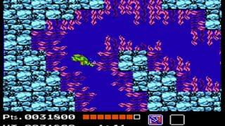 Teenage Mutant Ninja Turtles - Nes - Full Playthrough - No Death 