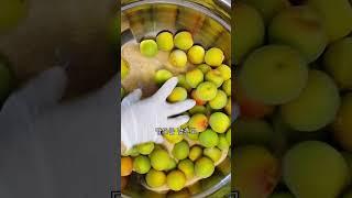 황매실, 홍매실로 저당 매실청 담기 (유산균이 있는 저당 발효 매실청)
