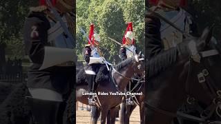 Absolutely GORGEOUS Blues And Royals King’s Guard | Changing the Guards and Horse #Shorts