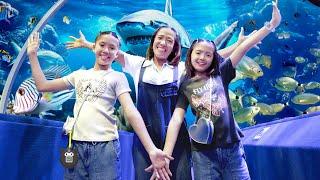 YimYamFamily | เที่ยว Chiang Mai Zoo Aquarium