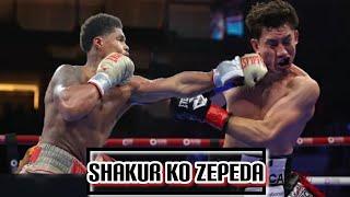 Shakur Stevenson vs William Zepeda Full Fight Boxing Highlights
