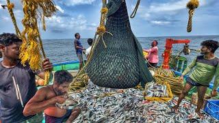 OMG‼️ Day 02: Watch This HUGE Trawl Net Devour the Deep Sea