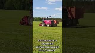 На Вороновщине стартовала кормозаготовка
