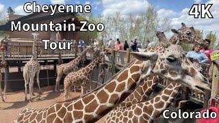 Cheyenne Mountain Zoo Tour - Colorado Springs, Colorado - USA [4K]