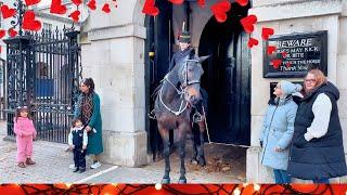 KING’S GUARD SPECIAL TREAT FOR AN ELDERLY LADY