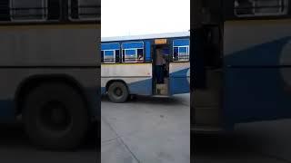 Chandigarh To Bathinda | 43 Bus Stand | PRTC Bathinda |