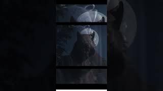 Curse Of A Werewolf