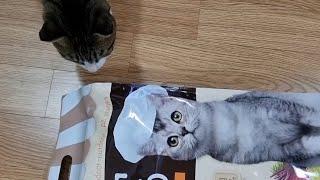 탐사 전연령용 고양이 사료, 5kg