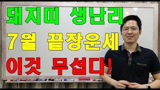 명리학으로 본 돼지띠의 25년 을사년 7월 충격대박 운세(47년, 59년, 71년, 83년, 95년, 07년생)#명리학 #명리학강의 #사주팔자 #돼지띠운세