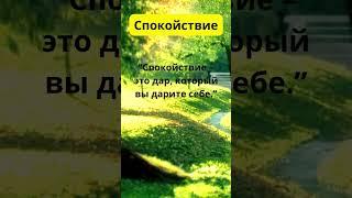 Спокойствие – это дар, который вы дарите себе   #душа #любовь #магия #душа