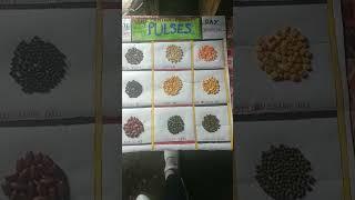 Pulses project short