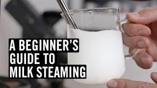 Everything You Need To Know To Steam Great Milk