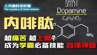 到底什么是学霸最牛的“核武器”？内啡肽居然有如此神奇力量！？