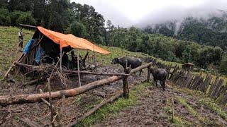 Nepali Mountain Village Lifestyle || Beautiful Nature in Rural life || Real Nepali Life ||