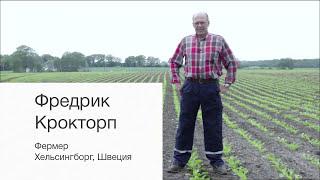 Качество семян сахарной свеклы
