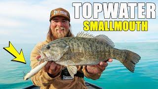 TOPWATER Smallmouth Bass Fishing in Shallow Water (INSANE BITE)