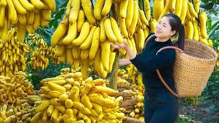 Harvesting Banana & Goes To Market Sell | Gardening And Cooking | Lý Tiểu Vân