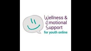 Trillium Mutual Donates $5,000 to WES (Wellness & Emotional Support) for Youth Online