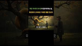 돌아가신 어머니가 아끼던 과수원을 철거하던 날, 살구나무를 감싸고있는 거대한 뱀이 나오는데...  #감동사연  #오디오북 #라디오극장
