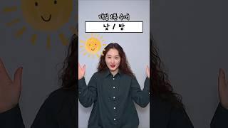 매일1분수어 l 낮/밤