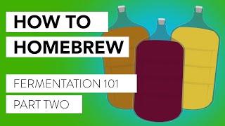 So You Want to Brew! Our Intro Course to Brewing and Fermentation | Part 2: Microorganisms