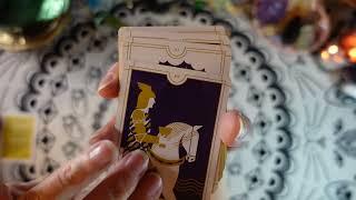 EVERYDAY TAROT MINIATURE EDITION - Deck Review - A Modern Approach to the Ancient Wisdom of Tarot!