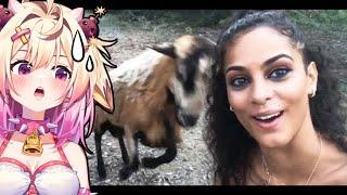 Instant Karma, Hilarious Fails| rosiebellmoo reacts to FailArmy