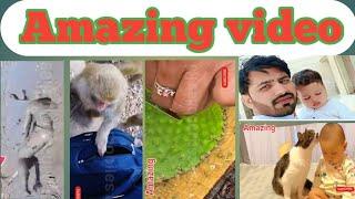 Totally Amazing // Must Watch New Special Comedy Video 2023  प्यार की गुज़ारिश // Best Funny Videos