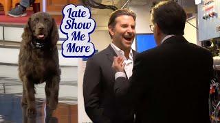 Late Show Me More: Benny Colbert, Bradley Cooper, and Beyond!