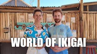 Welcome to World of Ikigai!