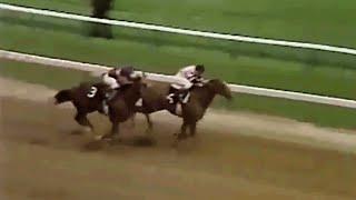 Affirmed vs. Alydar: All 10 Races in the Rivalry