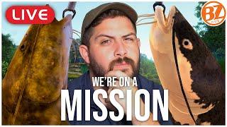 WE'RE ON A MISSION. Unique Gilded & Redtail Catfish l Marron River Fishing Planet! [LIVE]