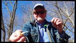 How To Catch Perch & Shad On A Tandem Rig