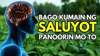 Panoorin Mo Muna Ito Bago Ka Kumain Ng Saluyot | Health Benefits Of Saluyot