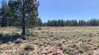 9 8ac Residential Land For Sale Klamath County Oregon