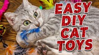 How To Make DIY Cat Toys! (Super Easy)