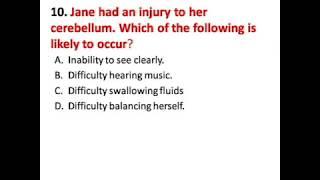 NURSING ENTRANCE REVIEW PRACTICE TEST