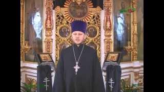 Ново ТВ от 10 04 2015г  www novgazeta by