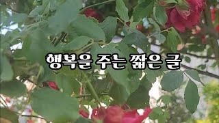 행복을 주는 글#행복한#아침#행복해지는#길#짧은 글#삶의  지혜