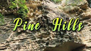 Pine Hills: Indiana's First Nature Preserve