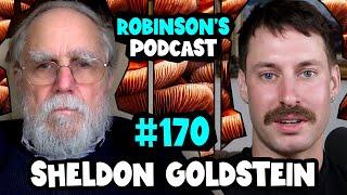 Sheldon Goldstein: Pilot Wave Theory and Bohmian Mechanics | Robinson's Podcast #170