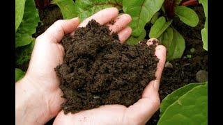 PAANO GAWIN ANG COMPOST (Organic fertilizer)