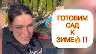 ГОТОВИМ САД К ЗИМЕ‼️КАК СВЯЗАТЬ⁉️ ОБРЕЗАТЬ⁉️УКРЫТЬ⁉️ ответила на все вопросы