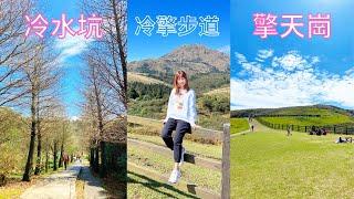 從冷水坑到擎天崗的「冷擎步道」，是陽明山一條景色優美的登山路線