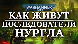 Как живут ЧУМНЫЕ ДЕСАНТНИКИ и последователи НУРГЛА ? (WARHAMMER 40000)